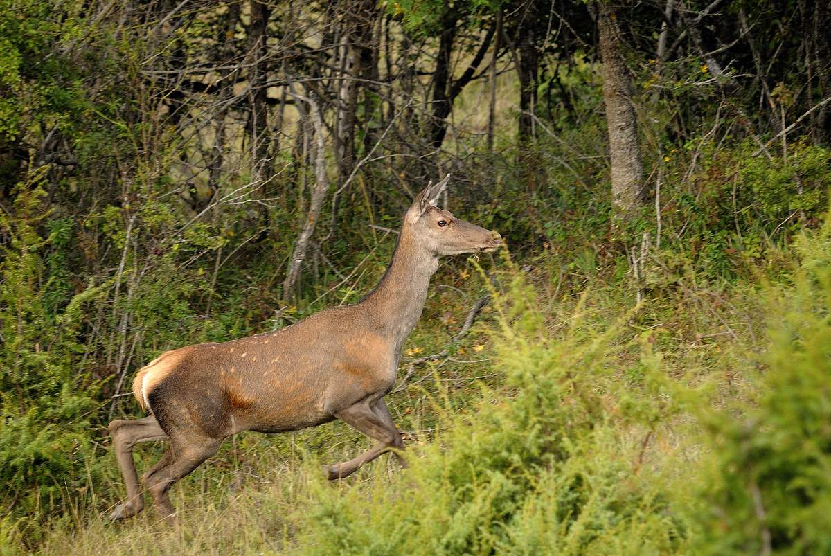 Sogno  (fotoracconto)